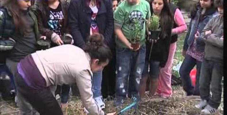 Progetto "Alla ricerca del gusto" della Provincia di Genova, l'esempio della scuola Montegrappa