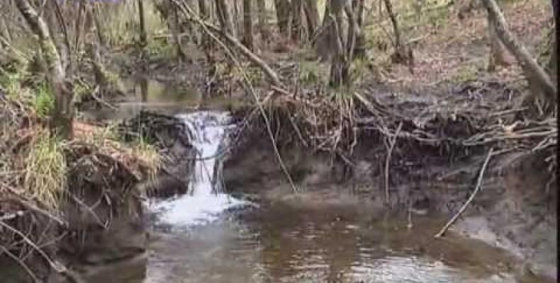 Tra acque e monti i tesori naturali del sic Roccabruna (Fontanigorda)