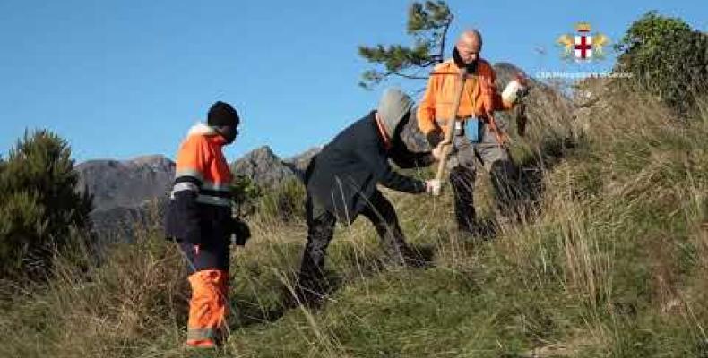 Proseguono gli interventi di forestazione finanziati dal PNRR