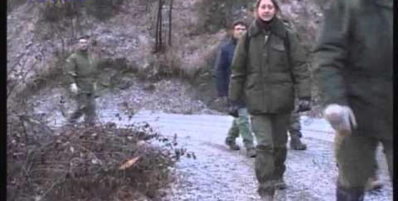 Caccia selettiva ai caprioli