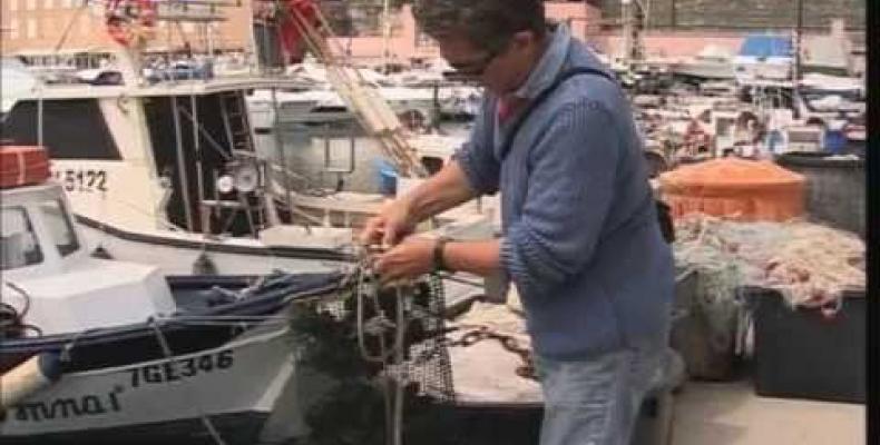 Biomonitoraggi al largo di Arenzano per verificare il grado di inquinamento delle acque