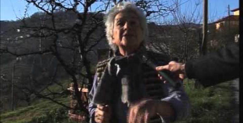 Cinghiali, fronte comune contro i nemici dei contadini (Valle)
