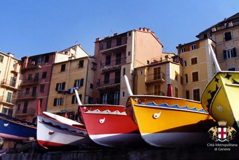 Camogli, barche