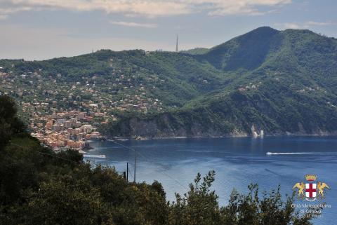 Santa Apollinare, panorama di Camogli