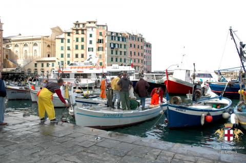 Camogli, pescatori