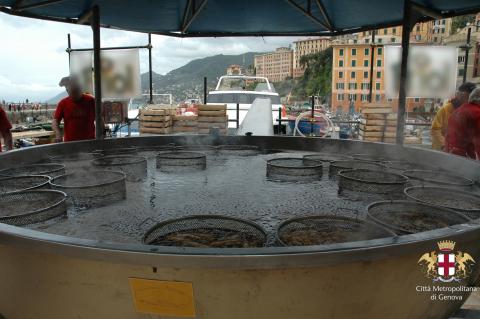 Camogli, frittura della sagra