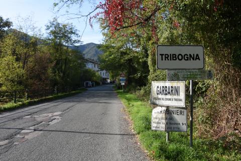Tribogna, Panorama 7