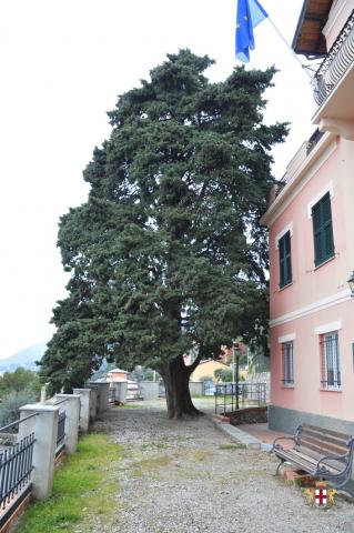 Pieve Ligure: Vista Municipio