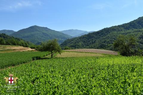 Lumarzo, coltivazioni 