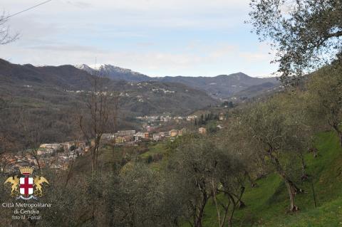 Moconesi, panorama di Ferrada