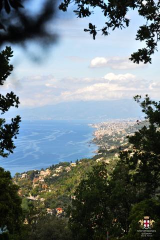 Santa Apollinare, veduta di Genova