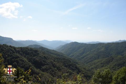 Passo del Portello, panorama