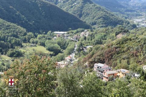 Pianezza, panorama