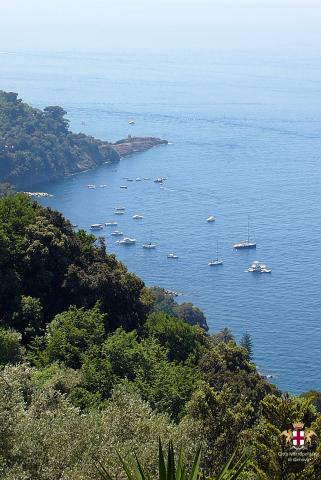 Punta Chiappa, panorama e barche