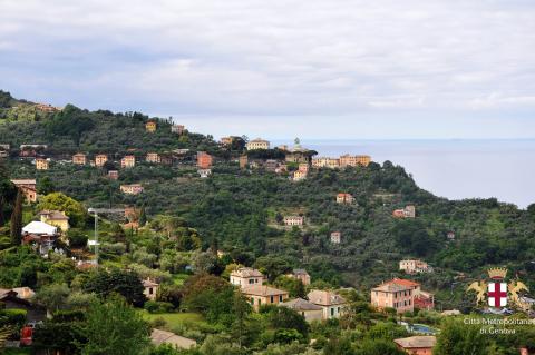 San Rocco di Camogli, visuale