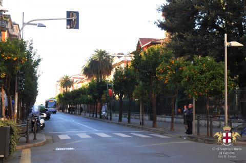 Chiavari, Viale Enrico Millo