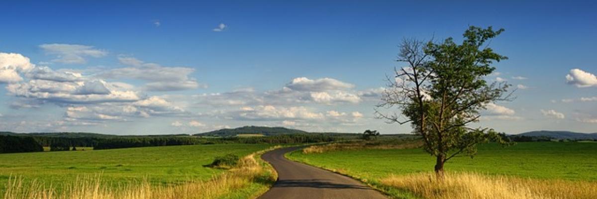 Orario di Ricevimento - Unità Trasporti