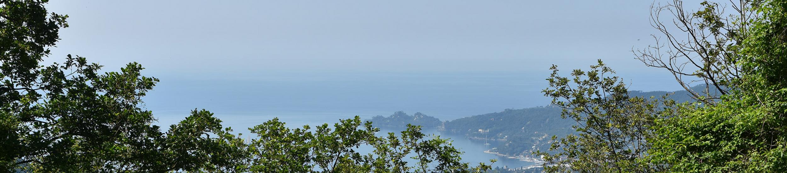Dalla campagna al mare Dalla campagna al mare
