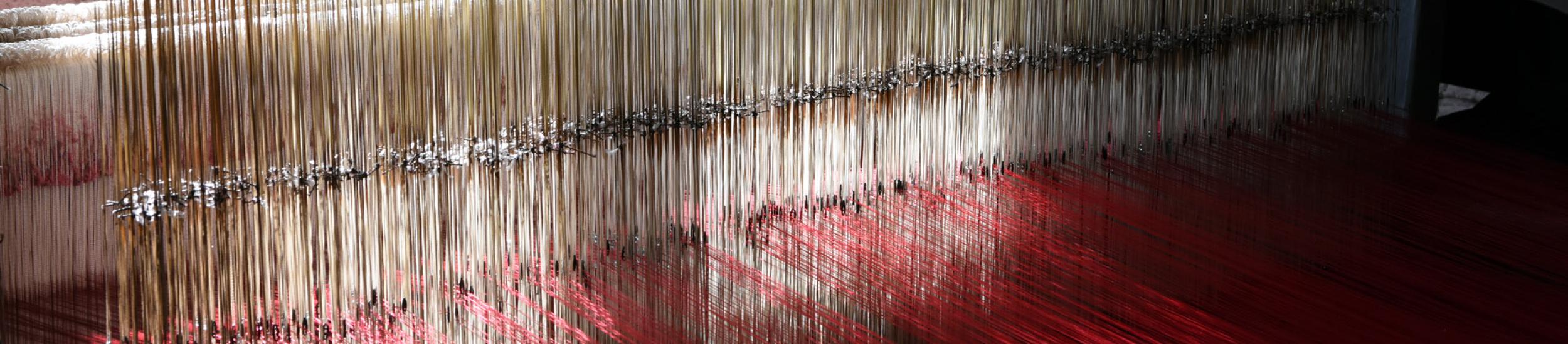 Laboratorio damaschi Laboratorio damaschi